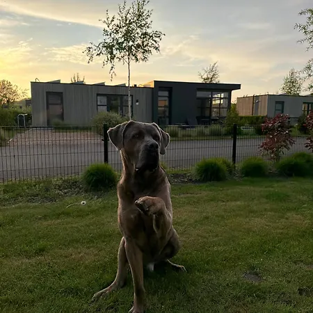 Enkhuizer Cube Elite Paradiso Mit Zaun Haus Nr 211 Enkhuizen